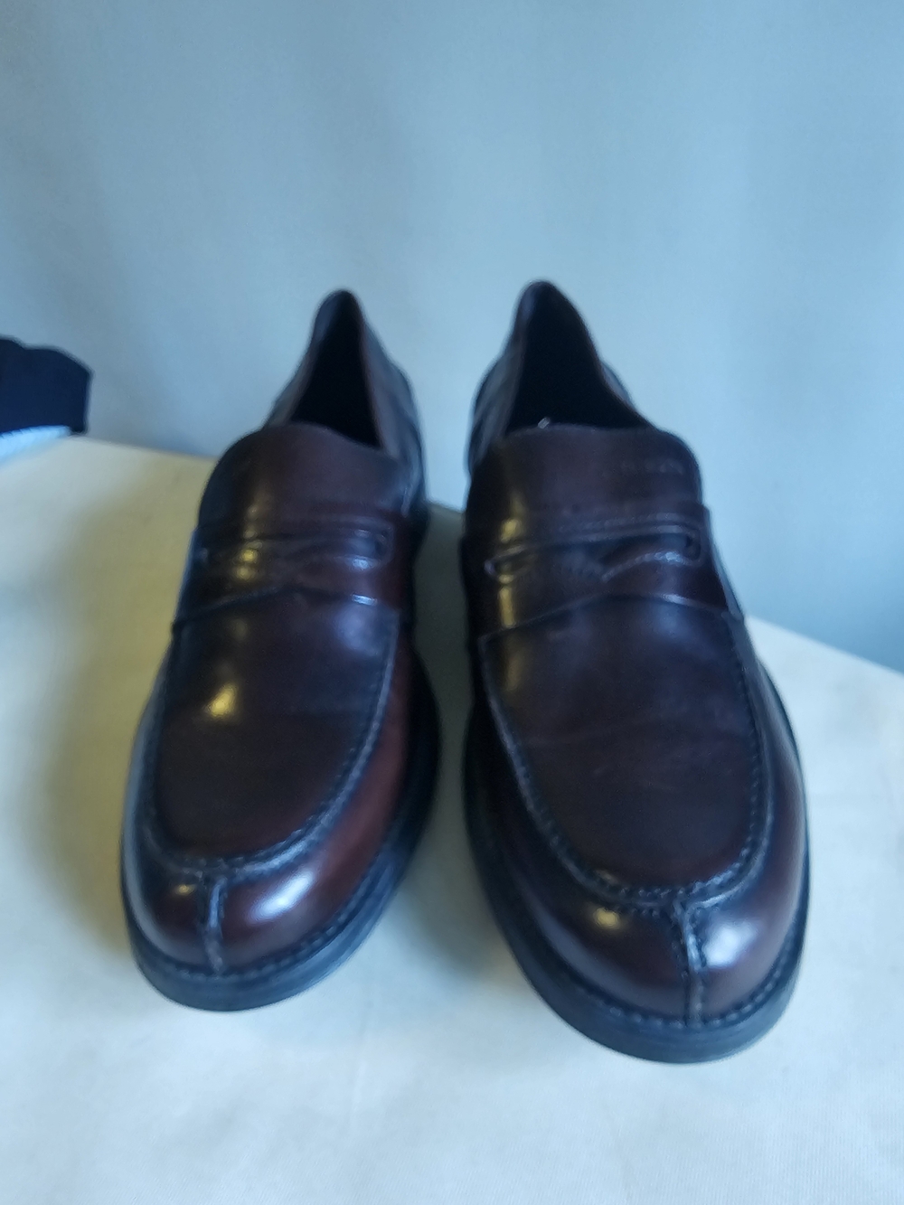 Geox Men’s Penny Loafers in Dark Brown